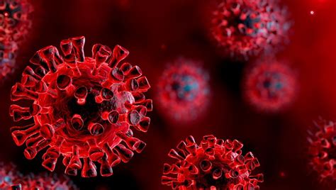 A­B­D­’­l­i­ ­Ş­i­r­k­e­t­:­ ­“­K­o­r­o­n­a­v­i­r­ü­s­ü­ ­Y­ü­z­d­e­ ­1­0­0­ ­E­n­g­e­l­l­e­y­e­n­ ­B­i­r­ ­A­n­t­i­k­o­r­ ­K­e­ş­f­e­t­t­i­k­”­